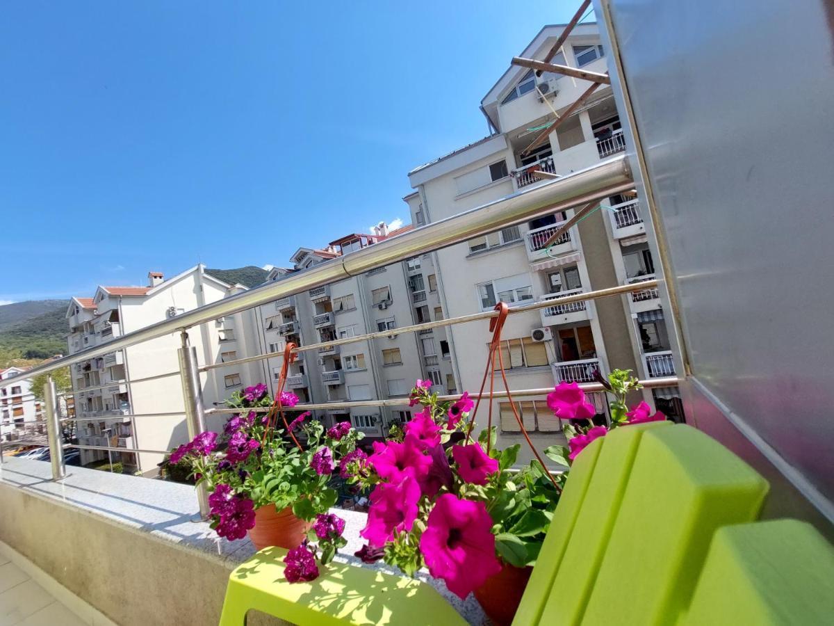 Vladimir Apartment *